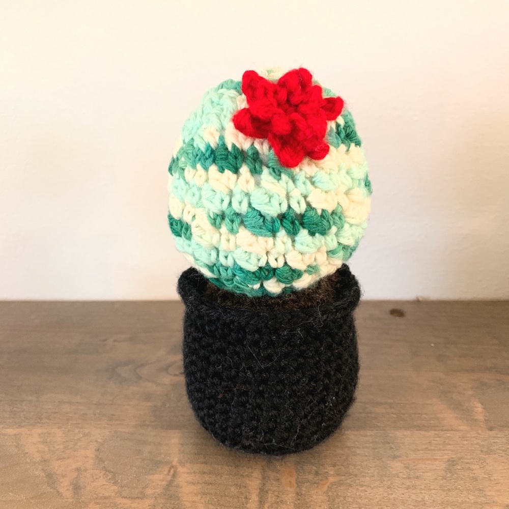 Crocheted House Plant Cactus in Pot Amigurumi